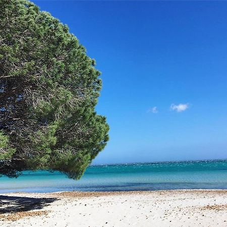 Appartement Proche Des Plus Belles Plages Porto-Vecchio  Ngoại thất bức ảnh