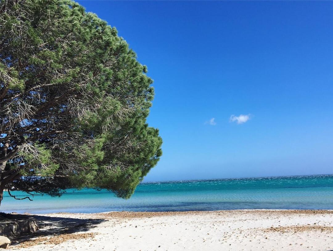 Appartement Proche Des Plus Belles Plages Porto-Vecchio  Ngoại thất bức ảnh